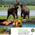 Wild Trails SriLanka