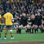 Wallabies