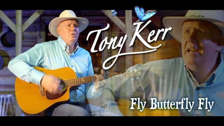 “FLY BUTTERFLY, FLY” – By Des Kelly