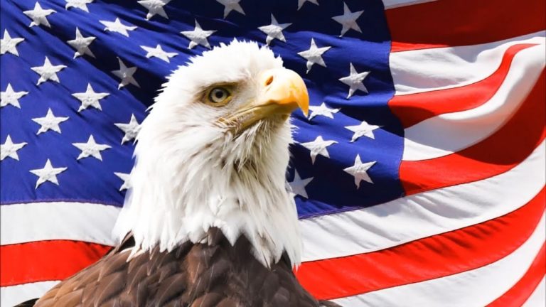 “No-one will ever know” – BY Des Kelly