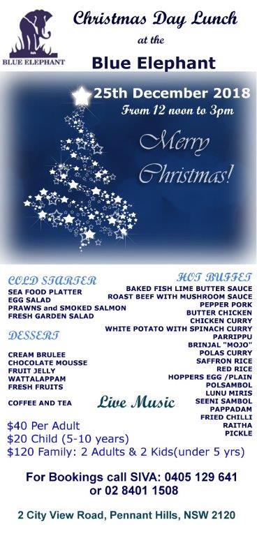 Blue_elephant_XMAS_2018