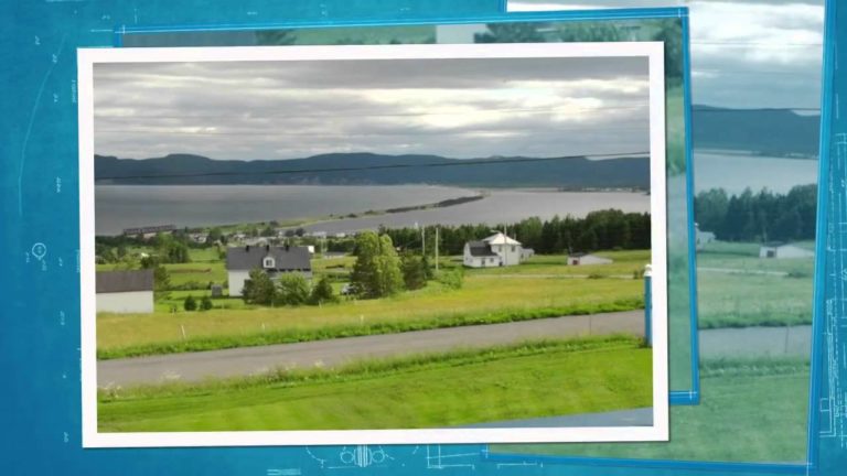 “ALPHABETICALLY YOURS” SERIES 8 (H) – By Des Kelly