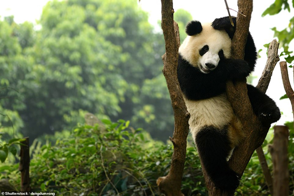harsh in northern China