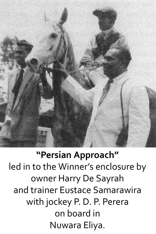 Harry de Sayrah reminisces