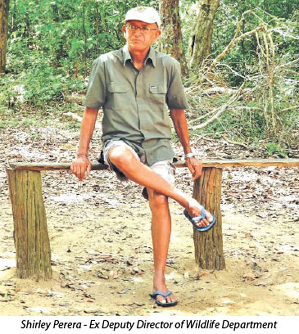 A Diagonal Journey across Sri Lanka