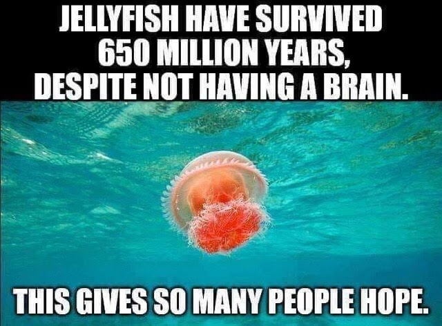 Just to put a smile on your face