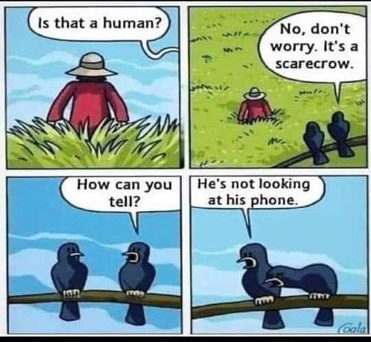 Just to put a smile on your face