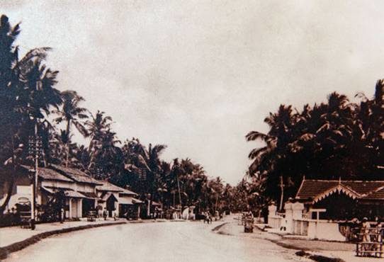 HAVELOCK TOWN