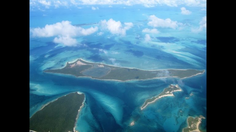 “ARTISTRY AT IT’S BEST” – By Des Kelly