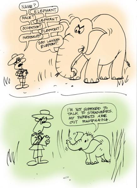 elephant