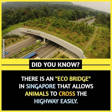 I didn’t know