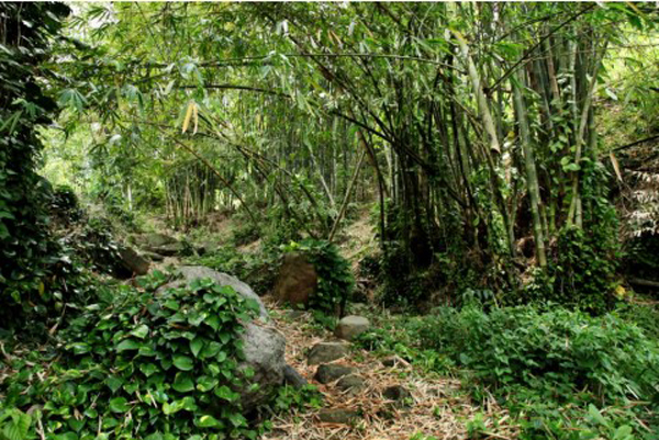 Boulder Path