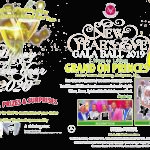Voluntary Outreach Club together with Whispering Hope - New Years eve 2019