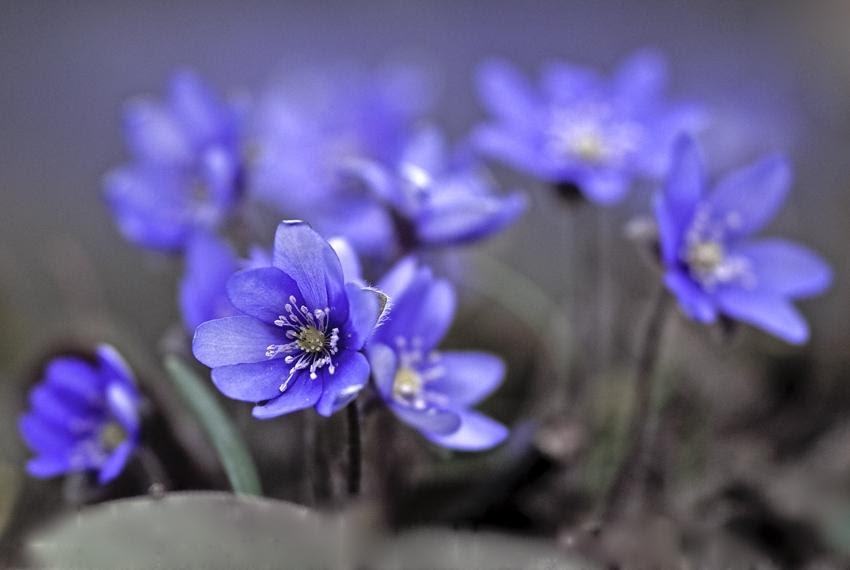 SOMETHING TO MAKE YOU THINK 