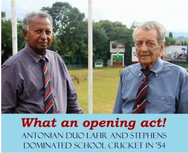 antonian_cricket