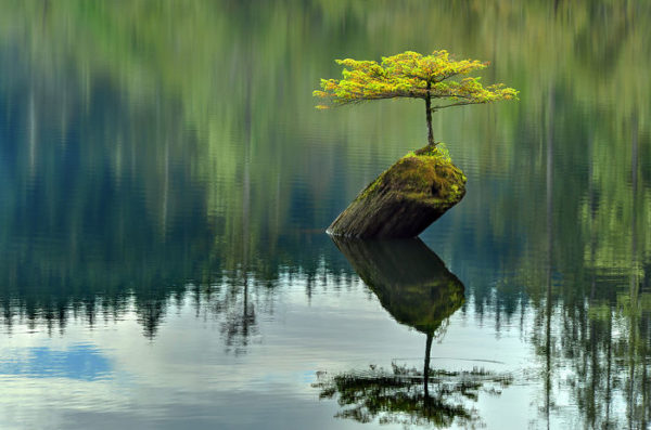 conciousnature