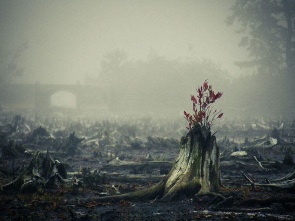 conciousnature