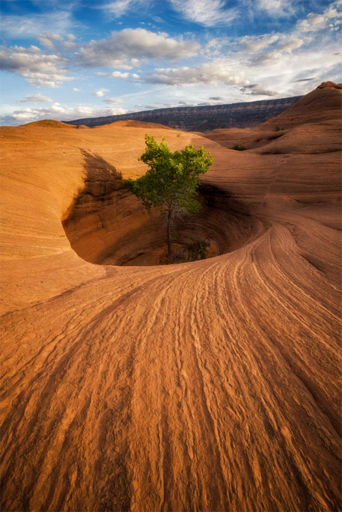conciousnature