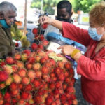 Rambutan