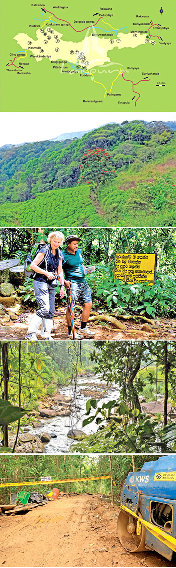 Sinharaja Forest 