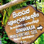Sinharaja Forest