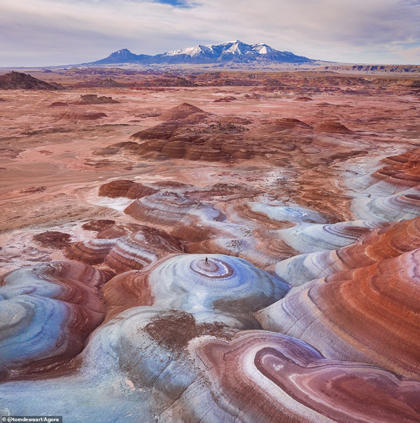 The high-flying shortlisted images