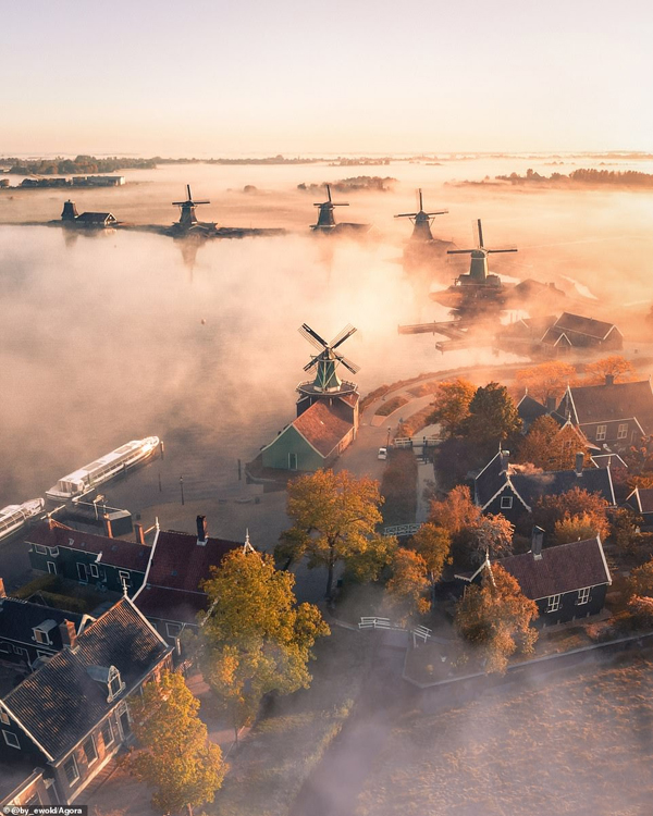 The high-flying shortlisted images