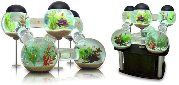 17. Labyrinth Aquarium