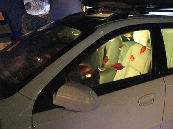 20. An Aquarium built into a car 