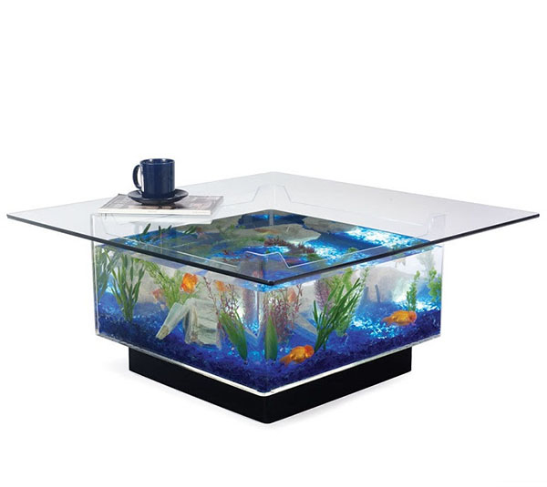 Coffee Table Aquarium