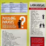 Sri Lankan Lingo - Cheat sheet for Diaspora visitors!