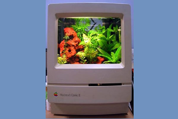 The Macquarium