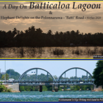A Day On Batticaloa Lagoon & Elephant Delights on the Polonnaruwa – ‘Batti’ Road – Stefan 2020