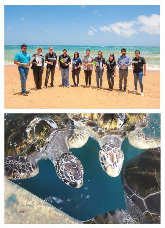 SavetheOceanPRimage
