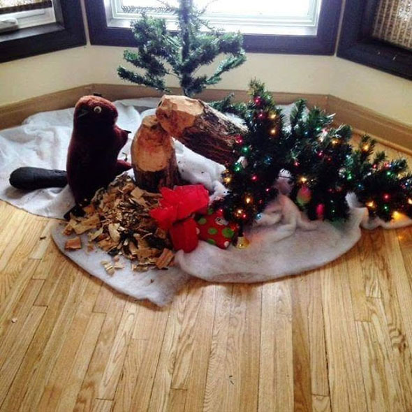 Christmas In Canada Is Difficult Sometimes