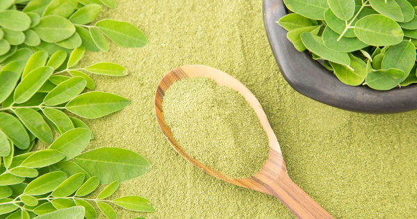 Moringa nutritional plant - Moringa oleifera