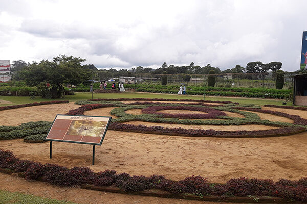 Gannoruwa Agro Technology Park - alluring edible landscaping By Arundathie Abeysinghe