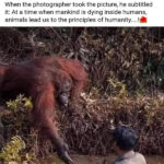 A memorable moment