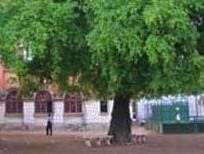 Royal College Colombo - REPAYING THE DEBT WE OWED – by Dr. Gnana Sankaralingam (58 Group)