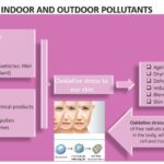 Skin Defence Against Indoor and Outdoor Pollutants