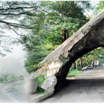 My childhood memories of Kadugannawa