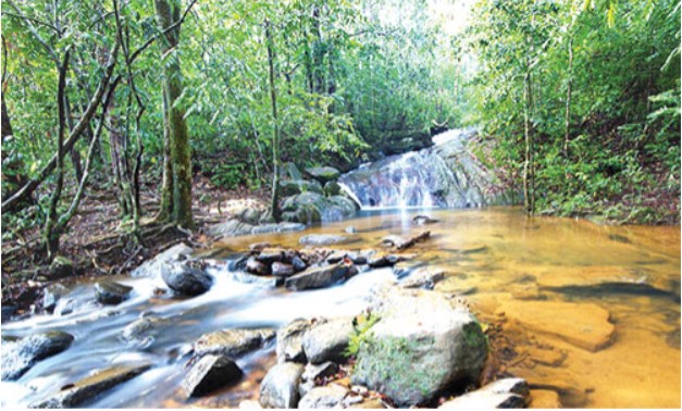 Sinharaja