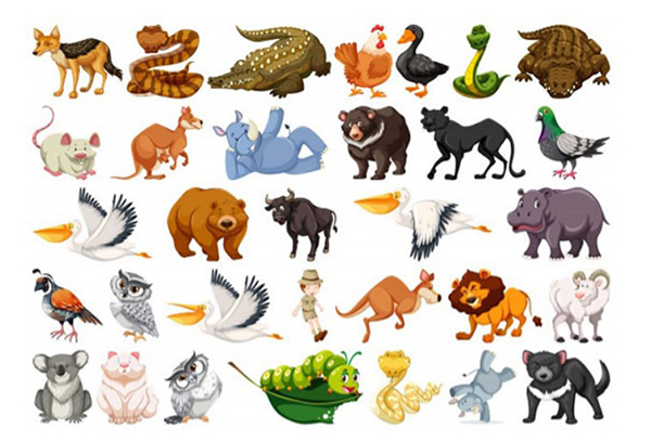 animals