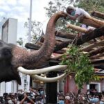 Athupandalama ritual at Kataragama Temple