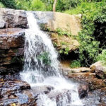 SOMASIRI DEVENDRA'S SUNDAY COLUMN