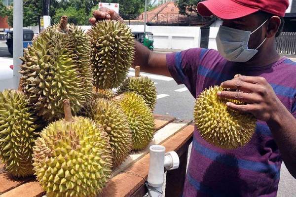 Time to taste seasonal fruits 1
