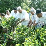 World Environment Day 2021