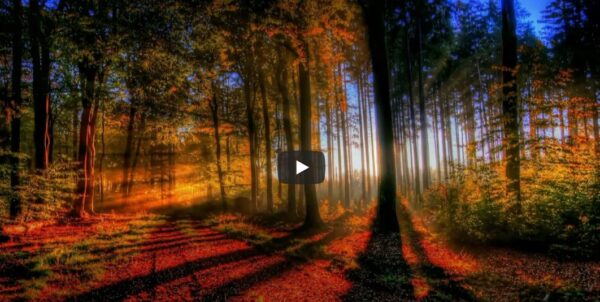 I do not know what lies ahead