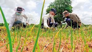 Jetwing Staff Doubles up as Farmers