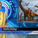 Kaleidoscope with Savithri Rodrigo 68 27 08 21